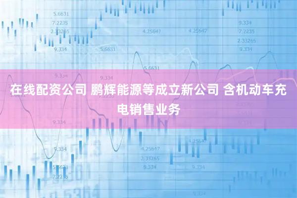 在线配资公司 鹏辉能源等成立新公司 含机动车充电销售业务