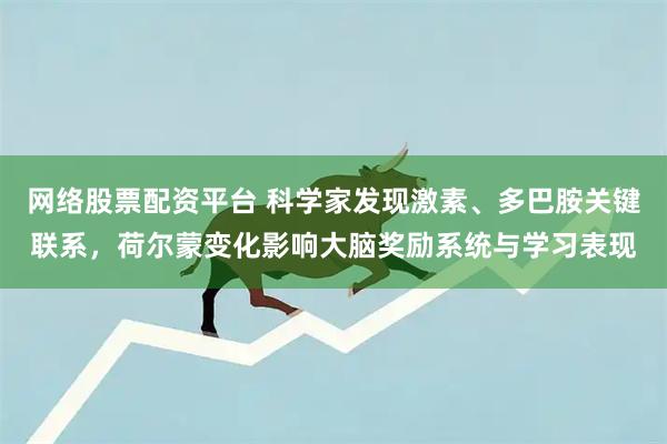 网络股票配资平台 科学家发现激素、多巴胺关键联系，荷尔蒙变化影响大脑奖励系统与学习表现