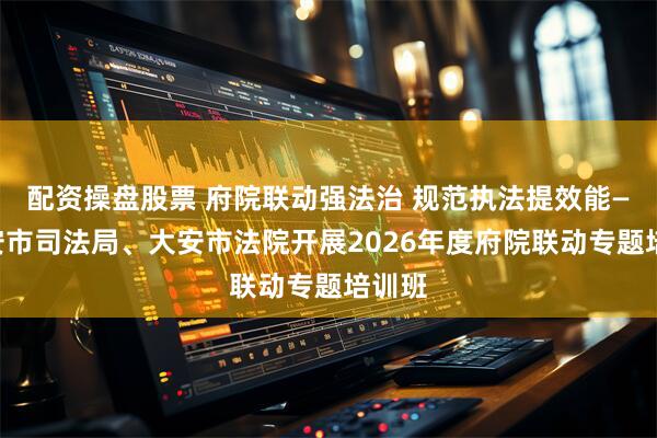 配资操盘股票 府院联动强法治 规范执法提效能——大安市司法局、大安市法院开展2026年度府院联动专题培训班
