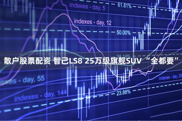 散户股票配资 智己LS8 25万级旗舰SUV “全都要”
